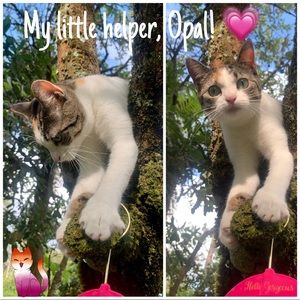 Everybody needs a little help sometimes... 💕